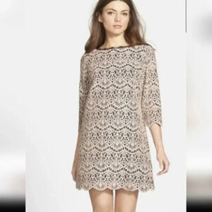 Chelsea28 Dress Blush Pink Black M Cotton Lace 3/4 Long Sleeve